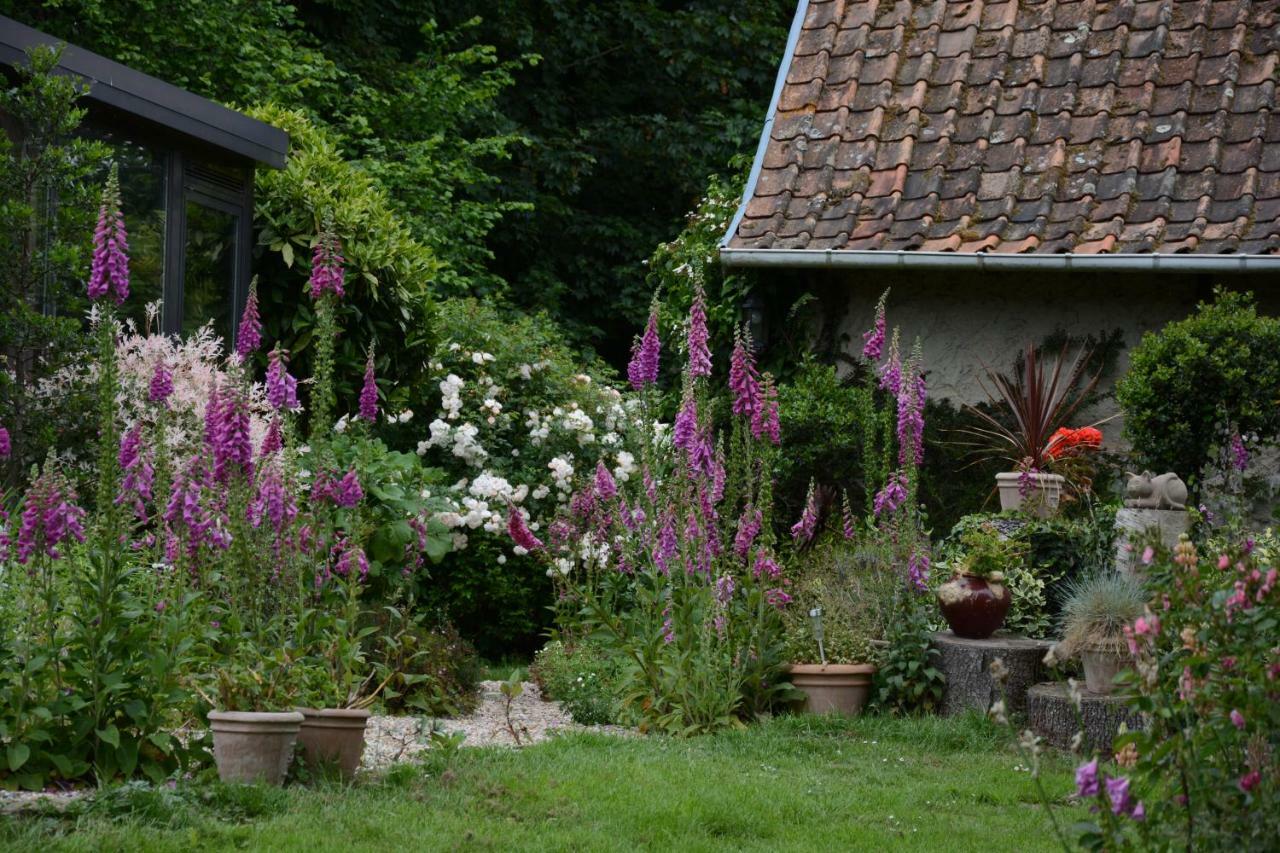 Bed and Breakfast Le Jardin Sauvage Maintenay Exterior foto